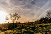 Cheddar Gorge III