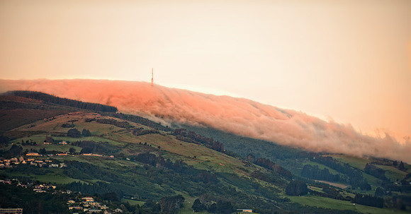 Dunedin