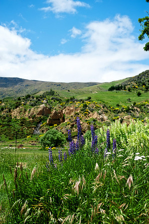 Cadrona Pass